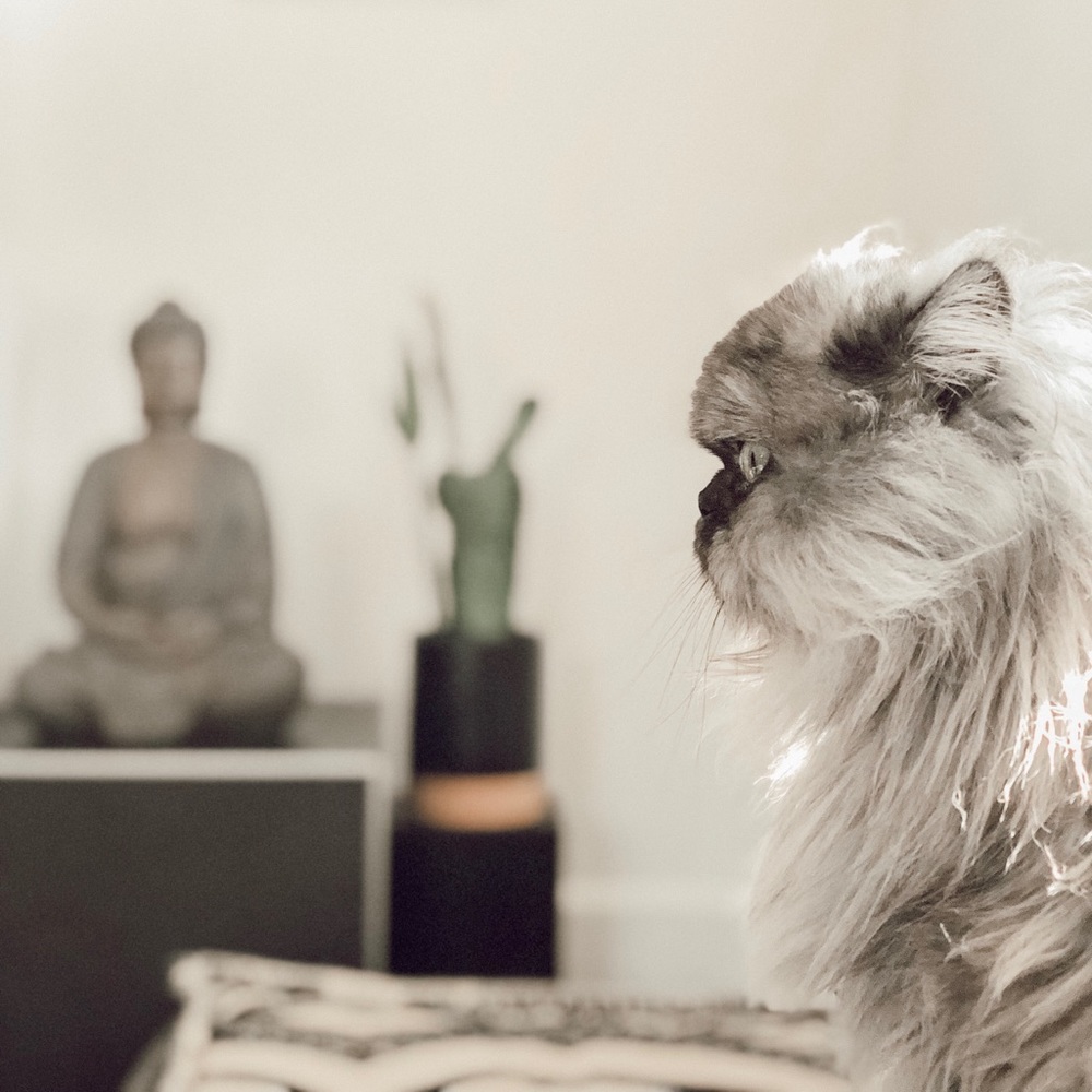 Meet your Posher, Sela